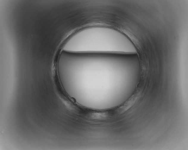 X0000111680160200907171641