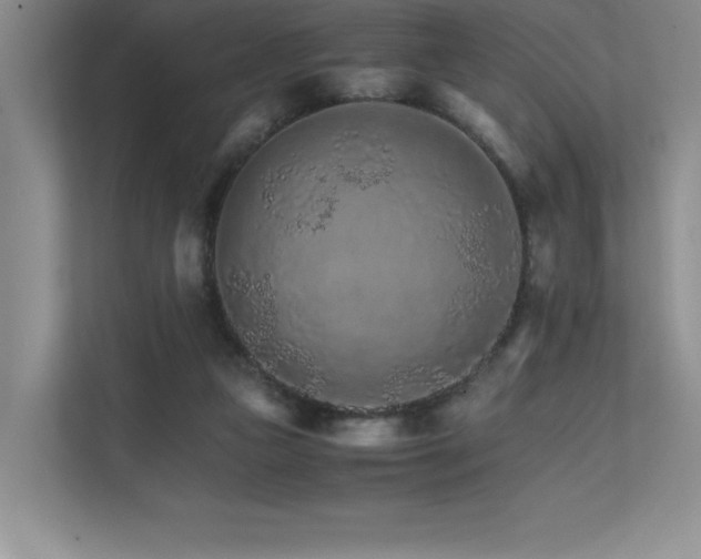 X0000111680161200907171641