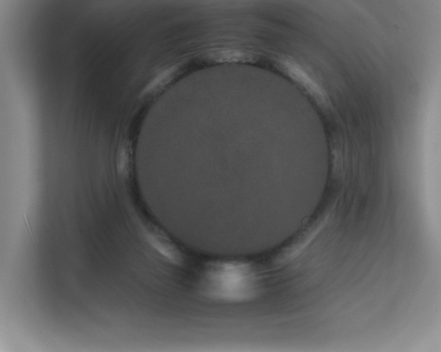 X0000111680165200907171641