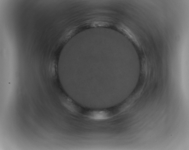 X0000111680169200907171641