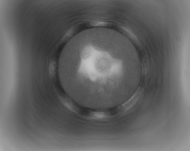 X0000111680171200907171641