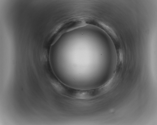 X0000111680174200907171641