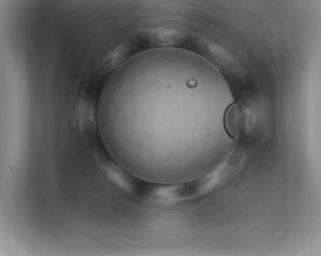 X0000111680178200907171641