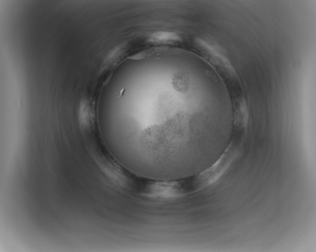 X0000111680179200907171641