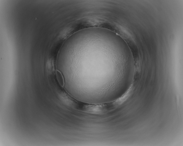 X0000111680182200907171641