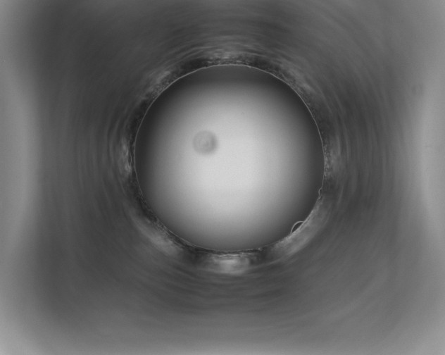 X0000111680187200907171641