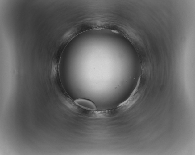 X0000111680188200907171641