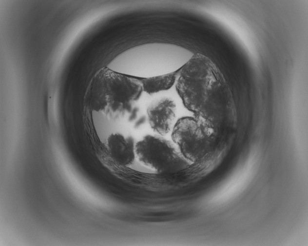 X0000111680189200907171641