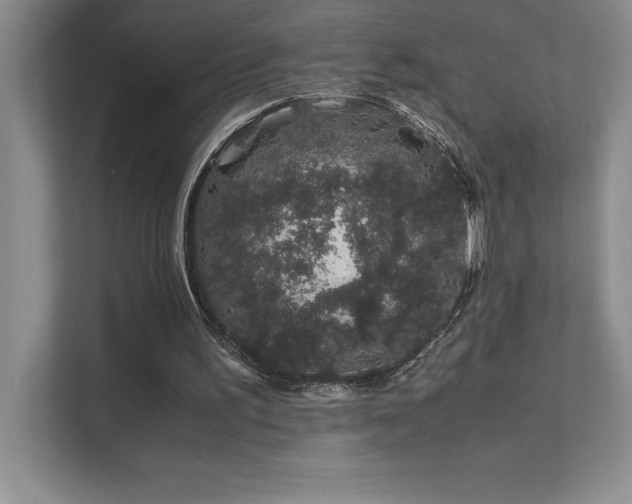 X0000111680195200907171640