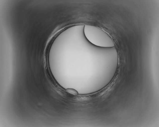 X0000111680198200907171640