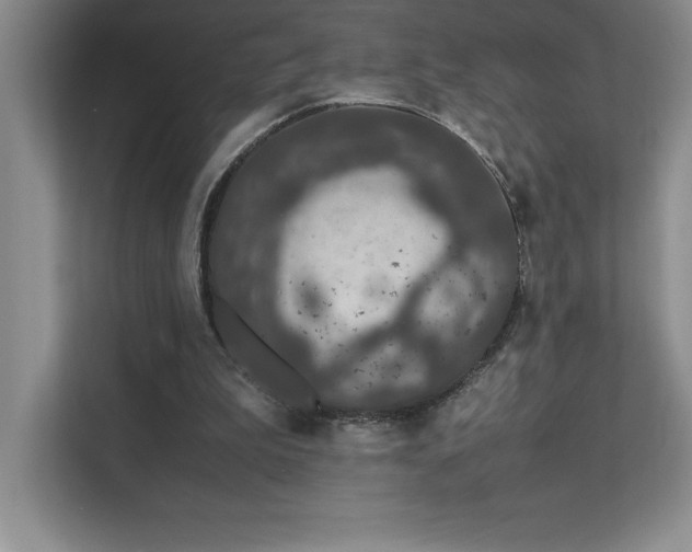 X0000111680199200907171640