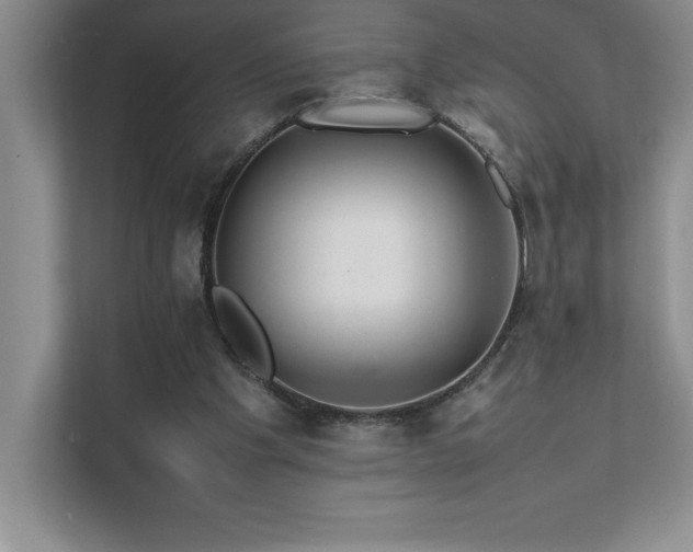 X0000111680201200907171640