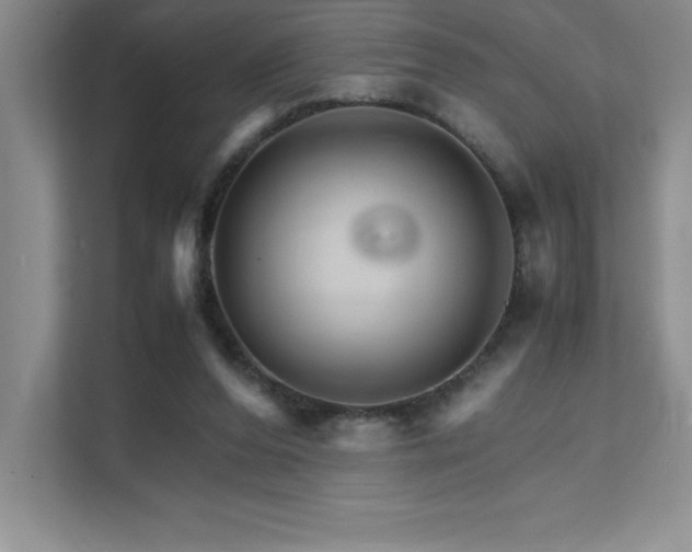 X0000111680208200907171640