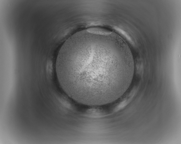 X0000111680211200907171640