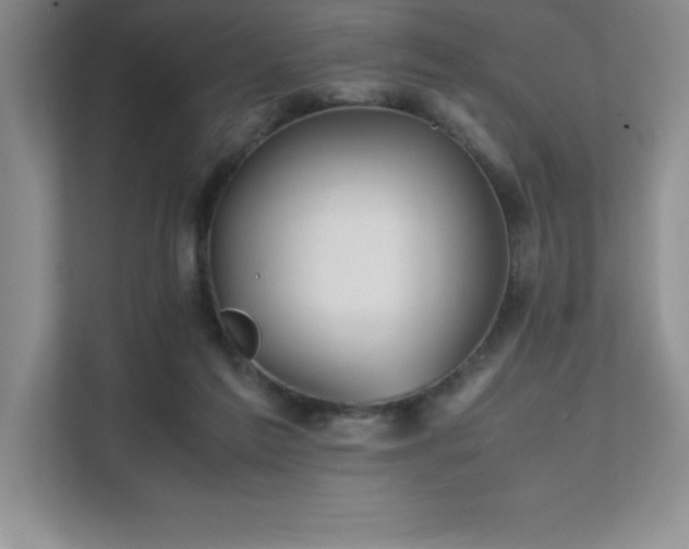 X0000111680213200907171640