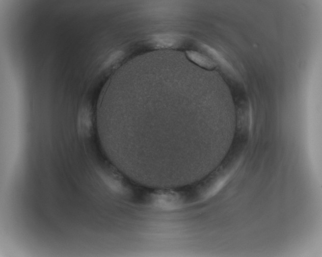 X0000111680215200907171640