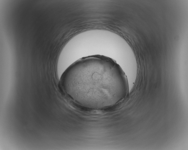 X0000111680227200907171640