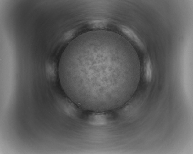 X0000111680228200907171640