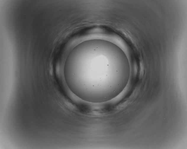 X0000111680229200907171640