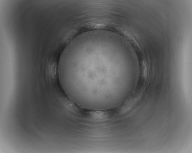 X0000111680230200907171640