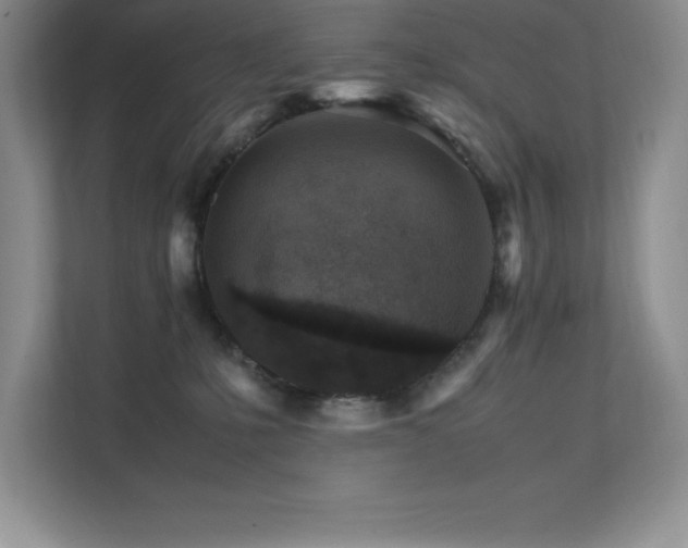 X0000111680231200907171640