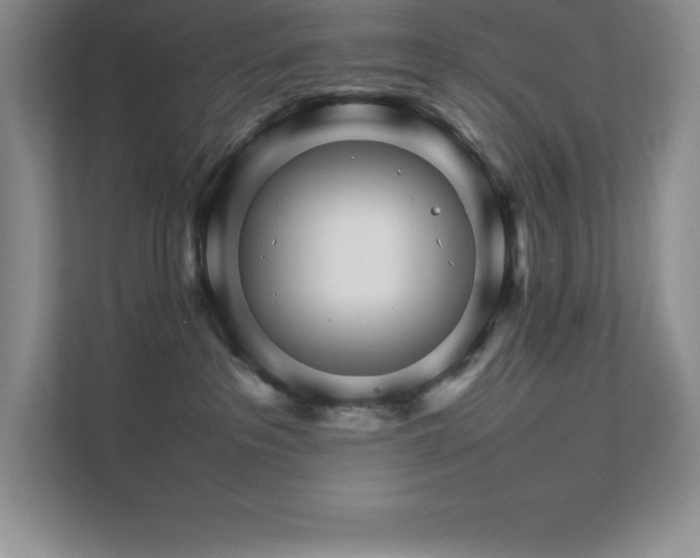 X0000111680237200907171640