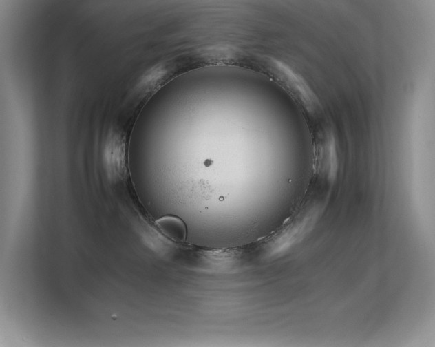 X0000111680238200907171640