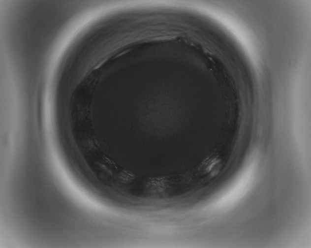 X0000111680239200907171640