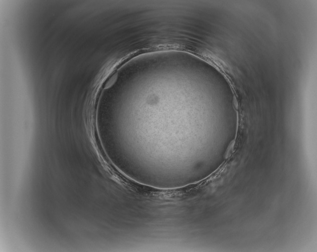 X0000111680241200907171639