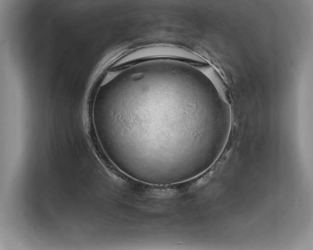 X0000111680245200907171639