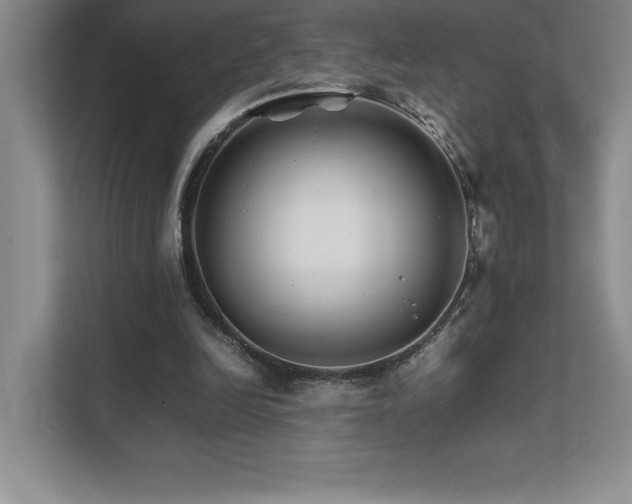 X0000111680246200907171639