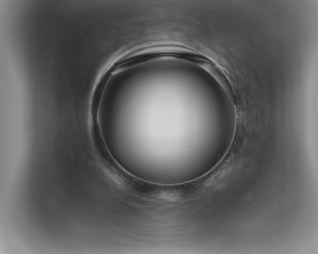 X0000111680248200907171639