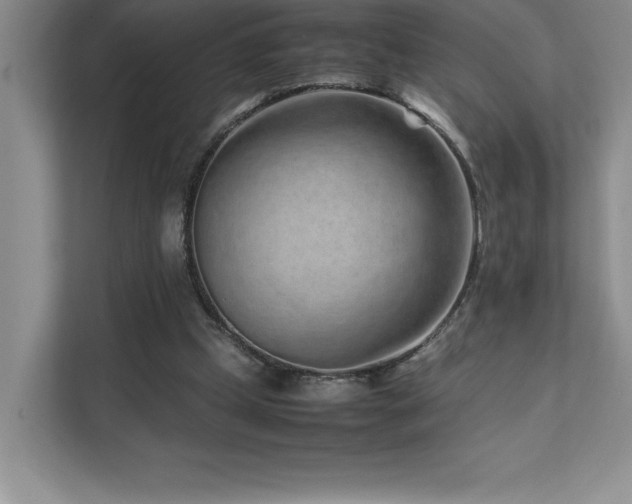 X0000111680249200907171639