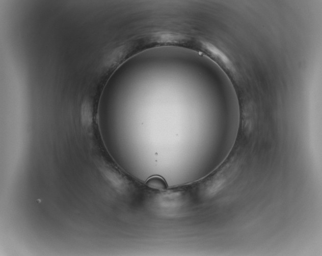 X0000111680257200907171639