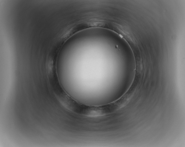 X0000111680263200907171640