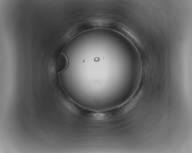 X0000111680265200907171640