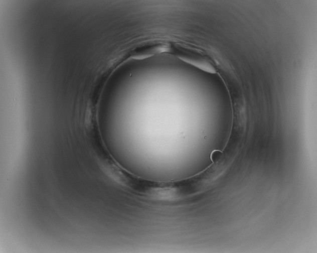 X0000111680266200907171640