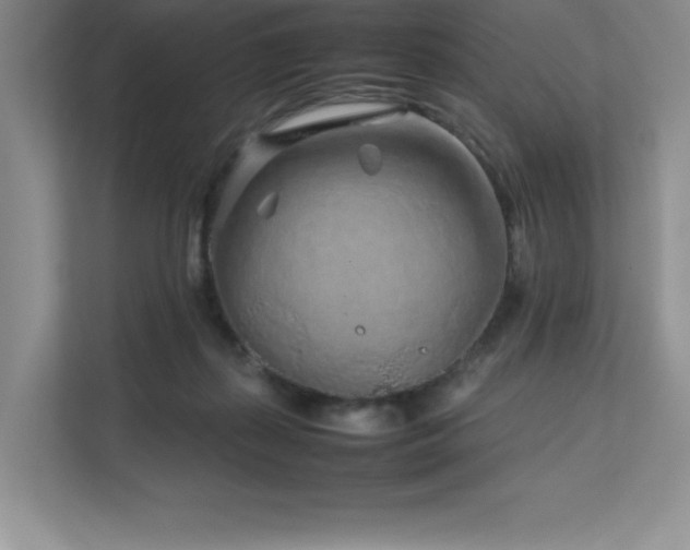 X0000111680267200907171640