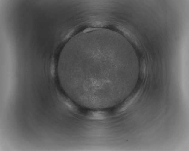 X0000111680268200907171640