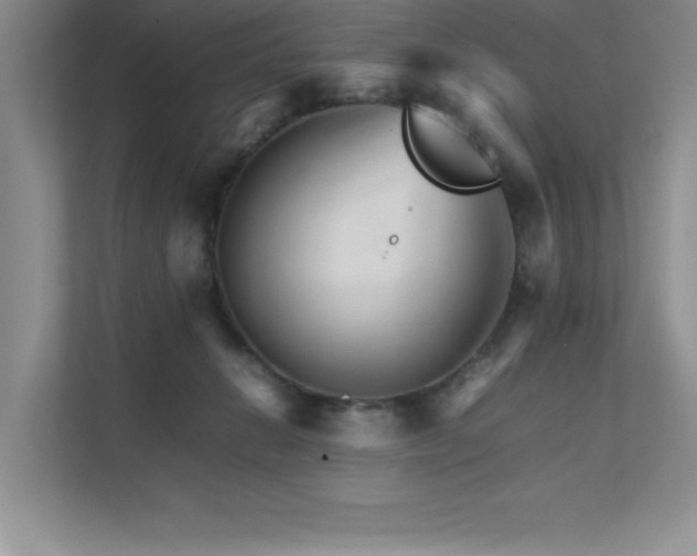 X0000111680270200907171640