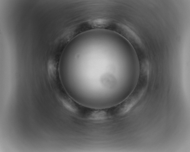 X0000111680271200907171640