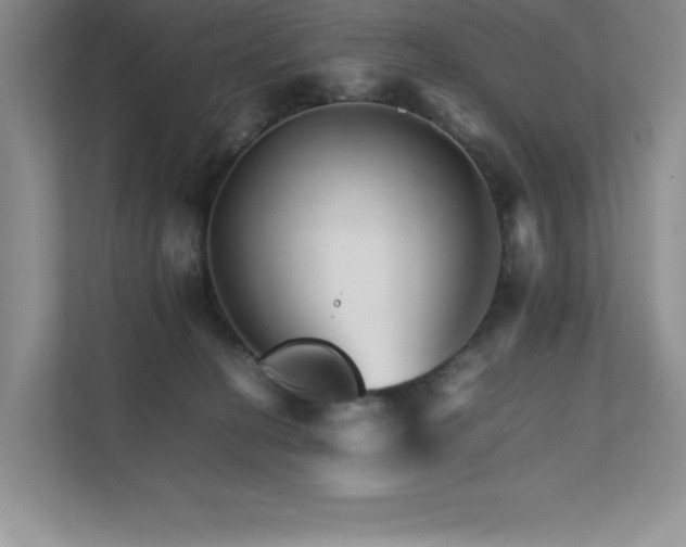 X0000111680274200907171640