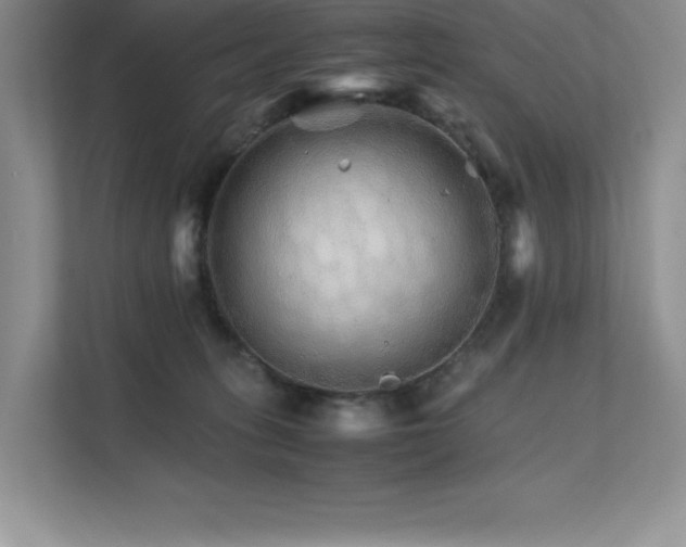 X0000111680275200907171640