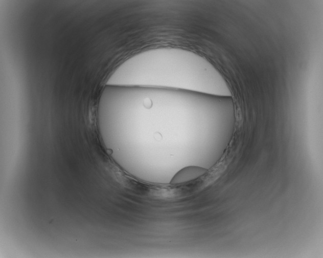 X0000111680276200907171640