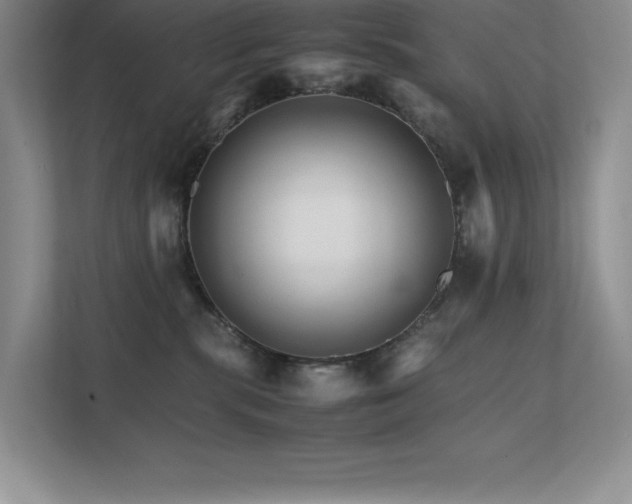 X0000111680283200907171640