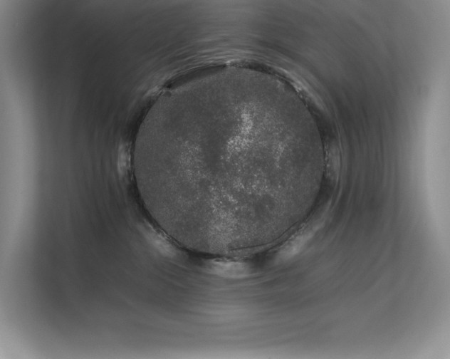 X0000111680284200907171640