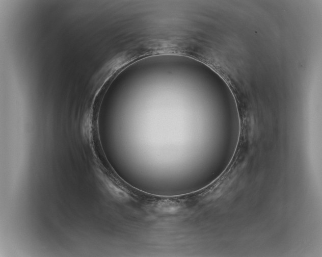 X0000111680290200907171639