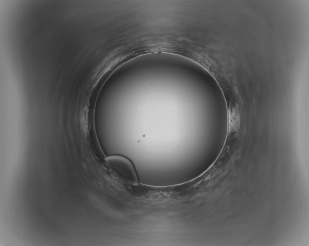 X0000111680291200907171639