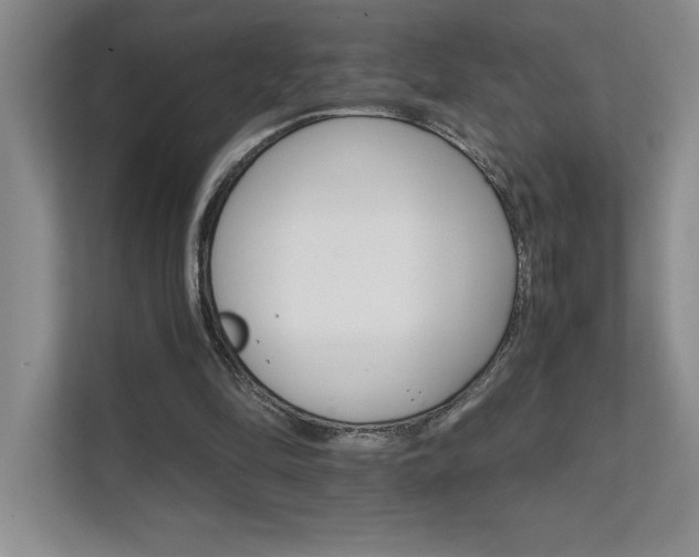 X0000111680294200907171639