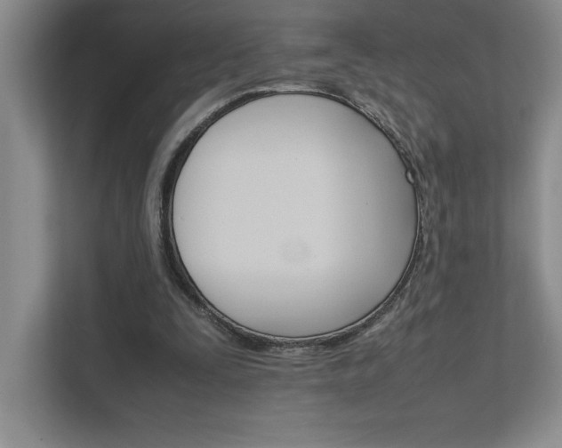 X0000111680295200907171639